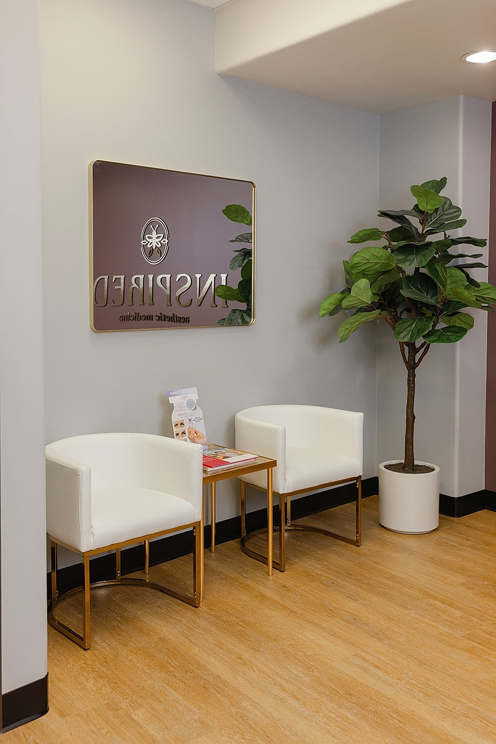 Modern waiting area with chairs and plant.